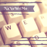 NaNoWriMo(1)