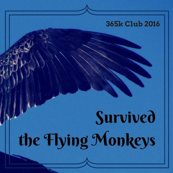 flyingmonkeyssurvivor