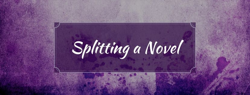 Read more about the article Splitting a Novel