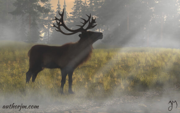 A reindeer standing at the edge of a stream in a foggy clearing in the middle of a forest.